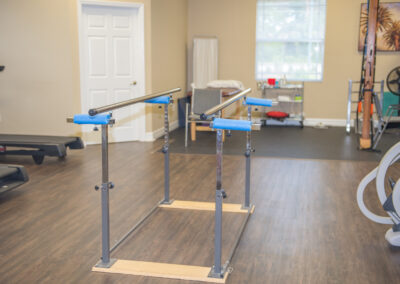 Platform parallel bars for physical therapy balance training